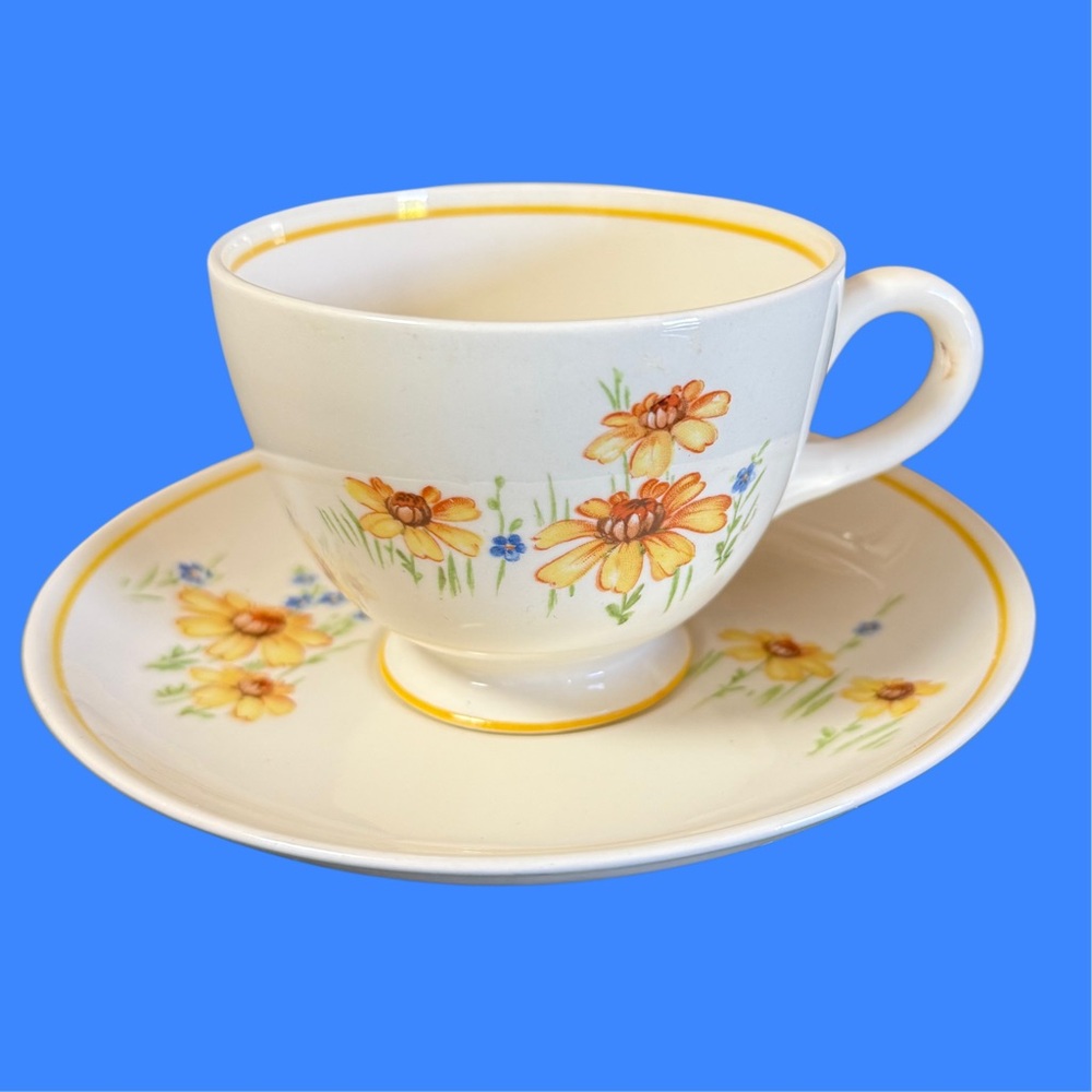 Homer Laughlin Floral 6 Oz Demi Cup and Saucer Set - Yellow and Blue HTF